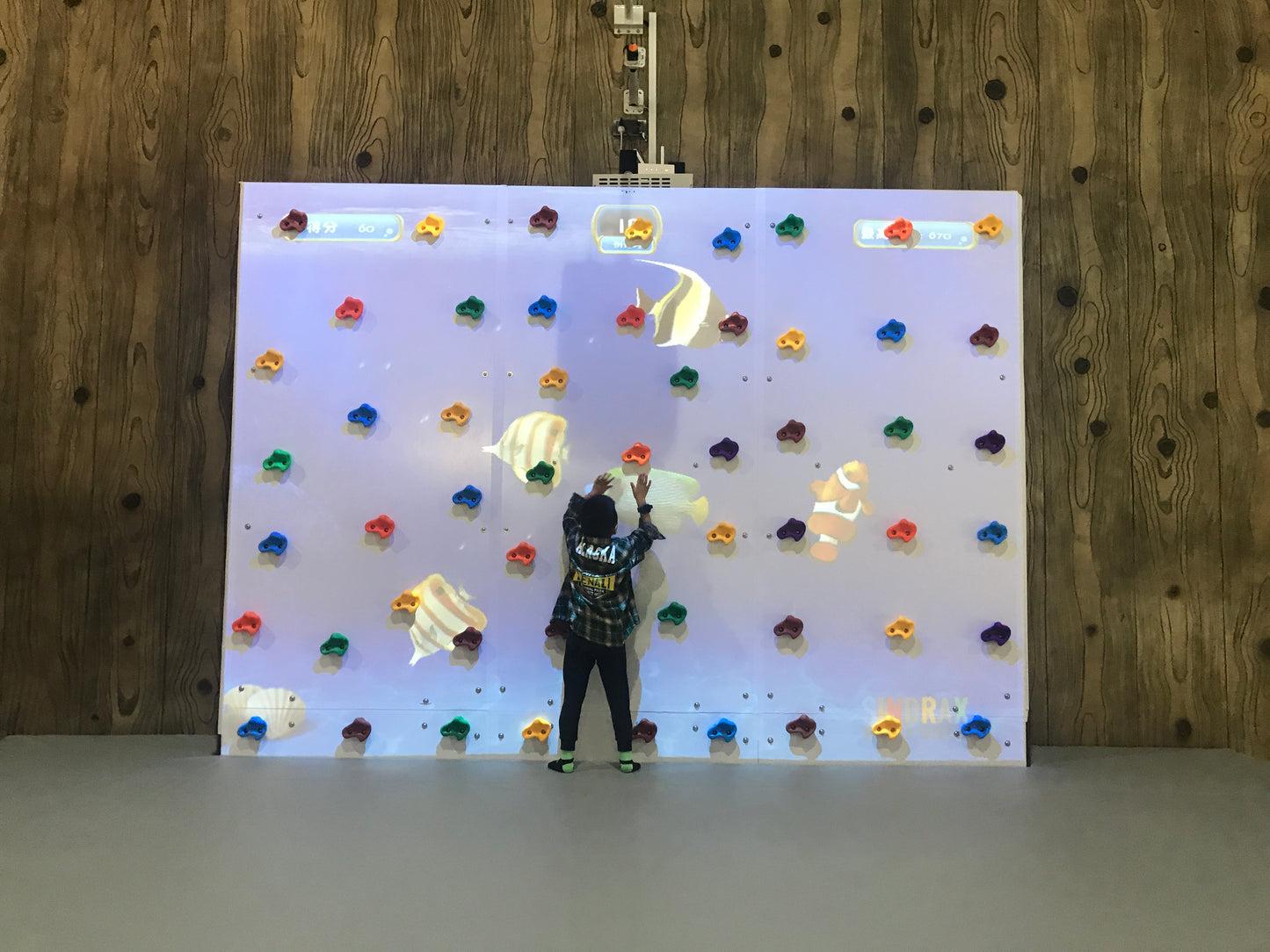 Augmented Climbing Wall