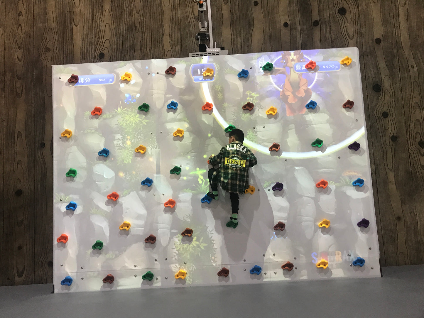 Augmented Climbing Wall